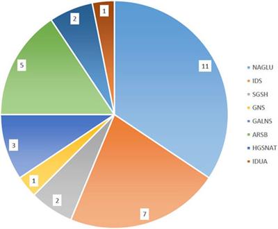 Identification of new variants in patients with mucopolysaccharidosis in consanguineous Iranian families